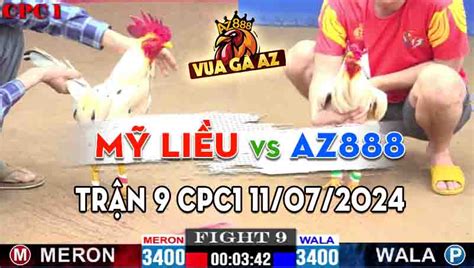 CPC1 27/06/2024, A.MỸ LIỀU GOM LÚA BỒ C1 .